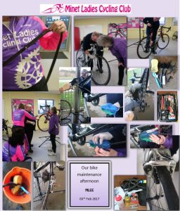 Bike Maint 03Feb 2017